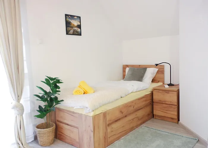 Linasi Slovenia Nazarje