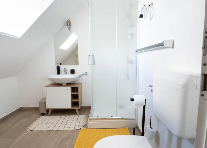 Linasi Slovenia Nazarje