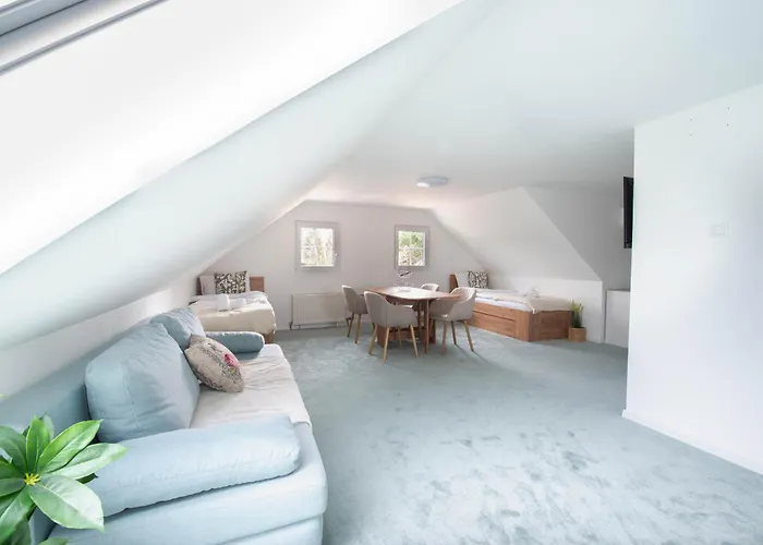 Linasi Slovenia Nazarje