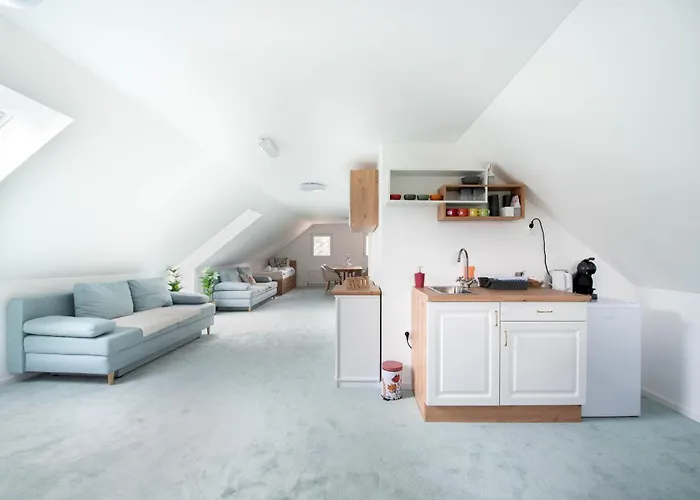 Linasi Slovenia Nazarje